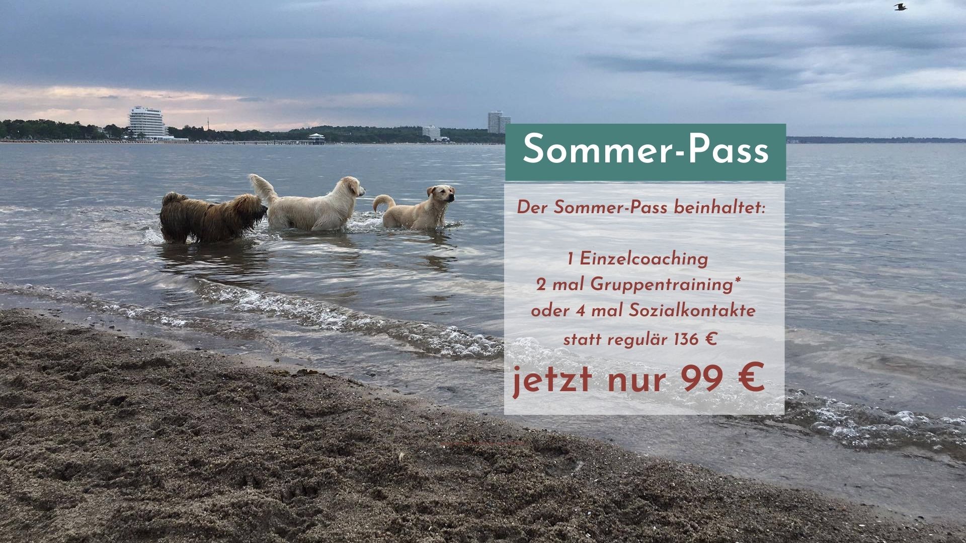 Kopie von Sommerpass (1080 × 420 px) (Präsentation (169))