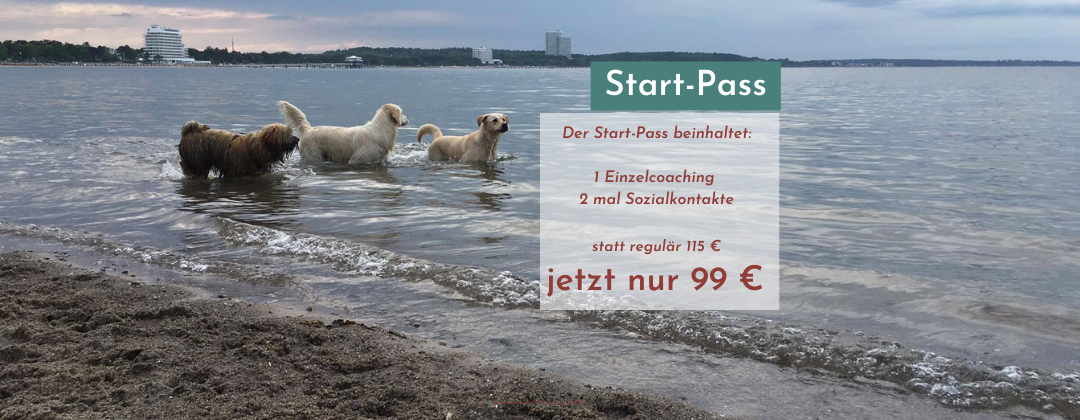 Startpass (1080 × 420 px)